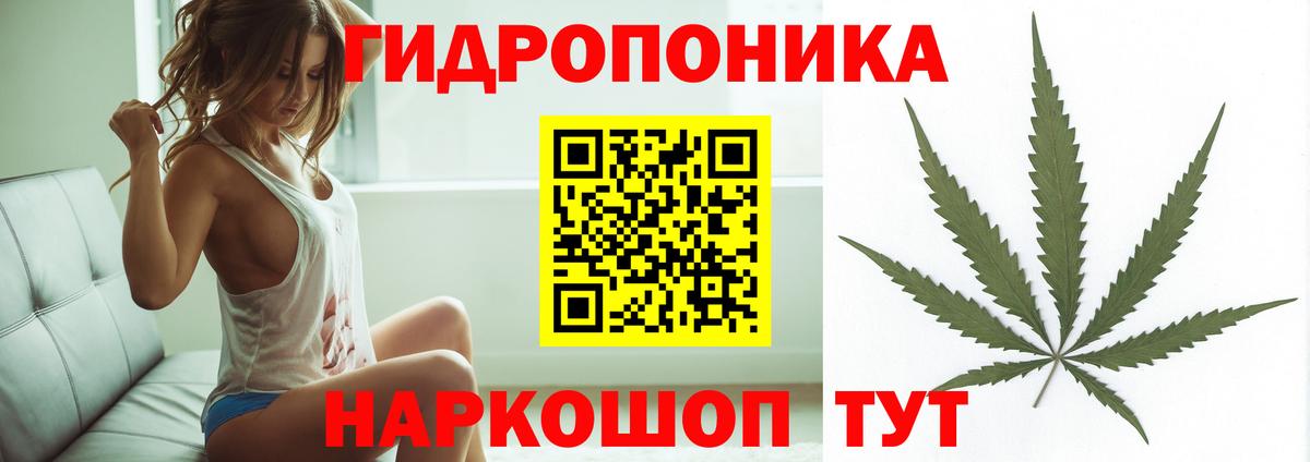 Бошки Шишки конопля Чебаркуль